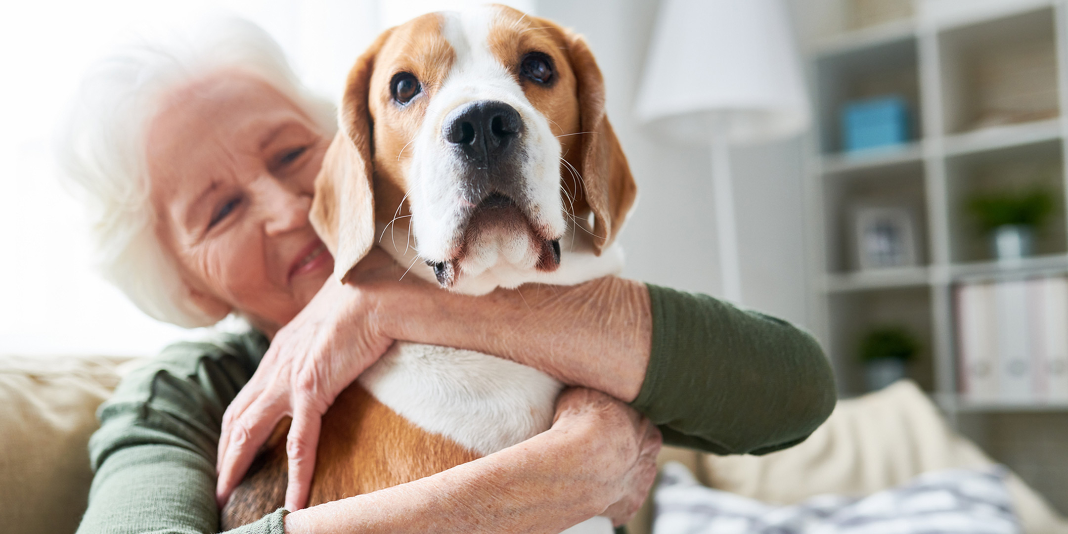 pets for seniors